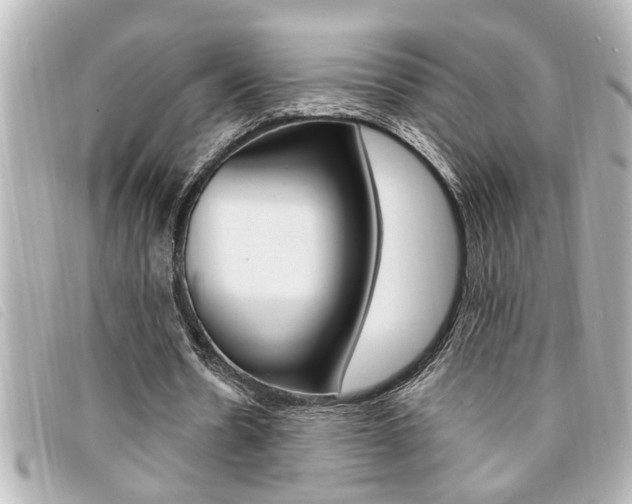 X0000094200530200710260914
