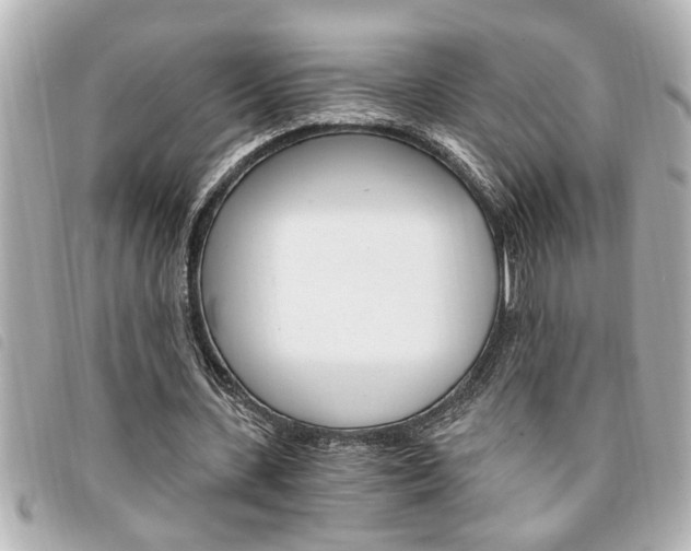 X0000094200531200710260914