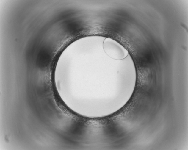 X0000094200534200710260914