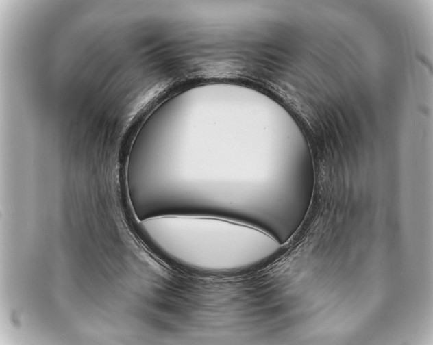 X0000094200535200710260914