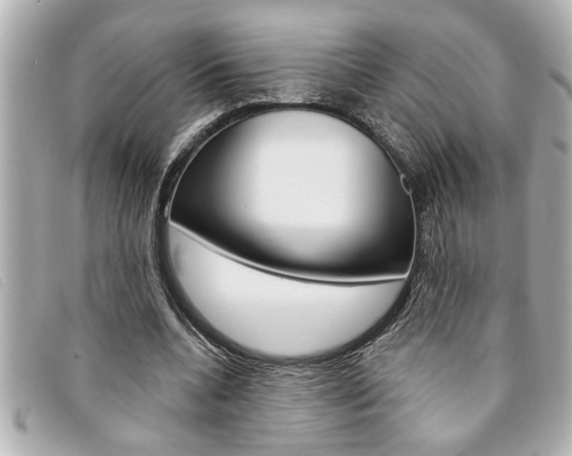 X0000094200536200710260914