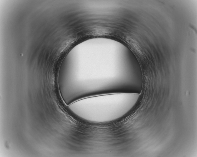 X0000094200539200710260914