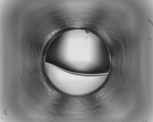 X0000094200540200710260914