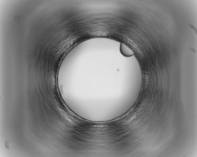 X0000094200541200710260914
