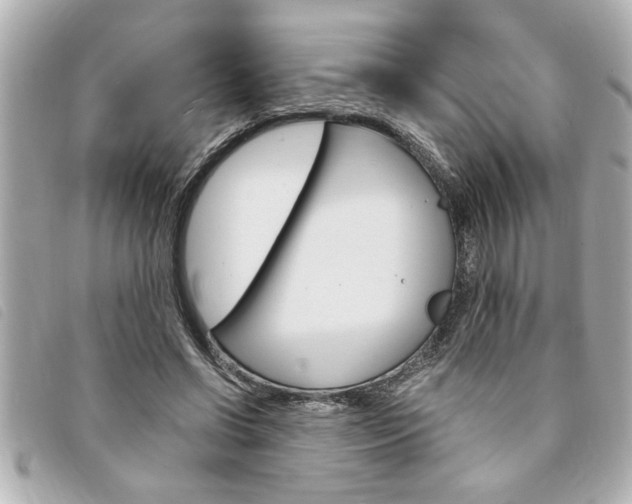 X0000094200542200710260914