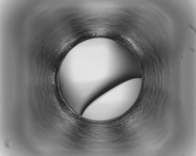 X0000094200543200710260914
