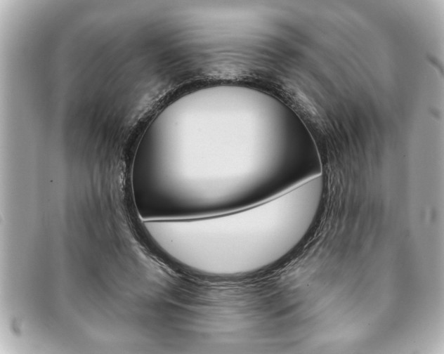 X0000094200544200710260914