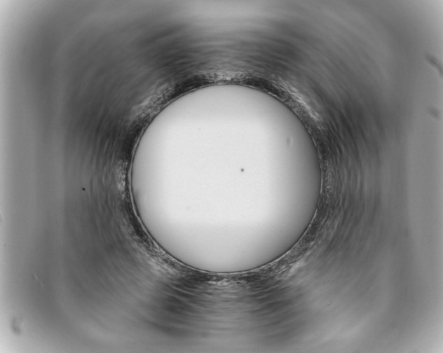 X0000094200545200710260914