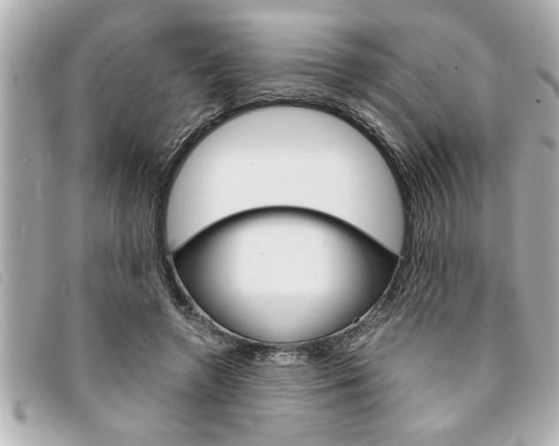 X0000094200546200710260914