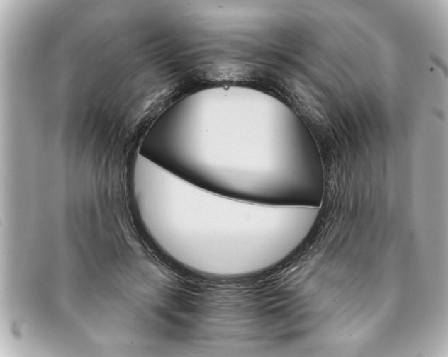 X0000094200547200710260914