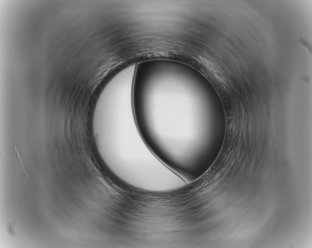 X0000094200548200710260914