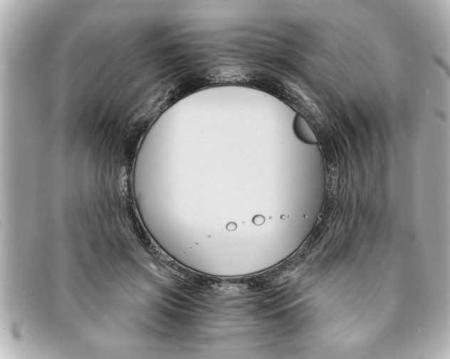 X0000094200549200710260914