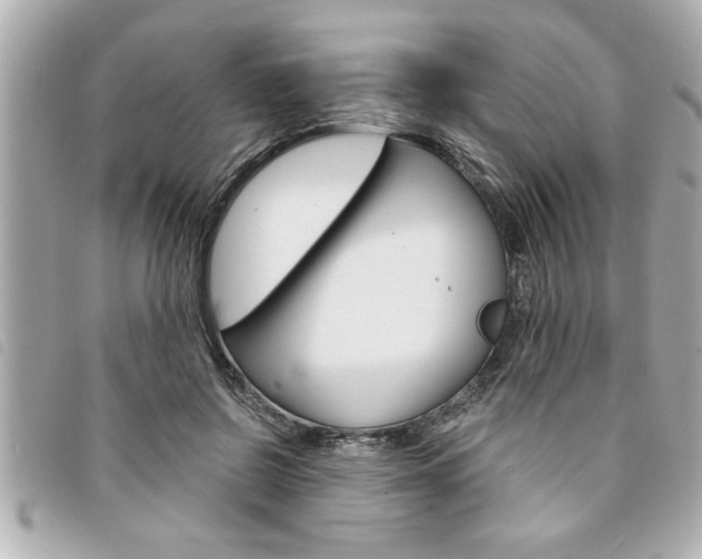 X0000094200550200710260914