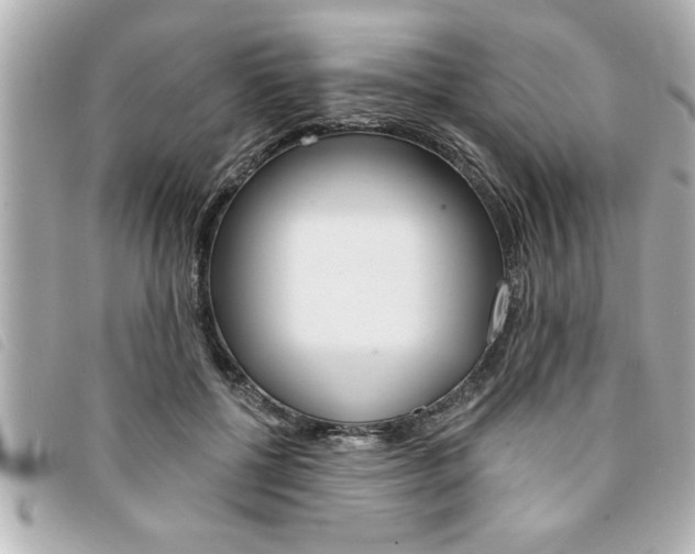 X0000094200552200710260914