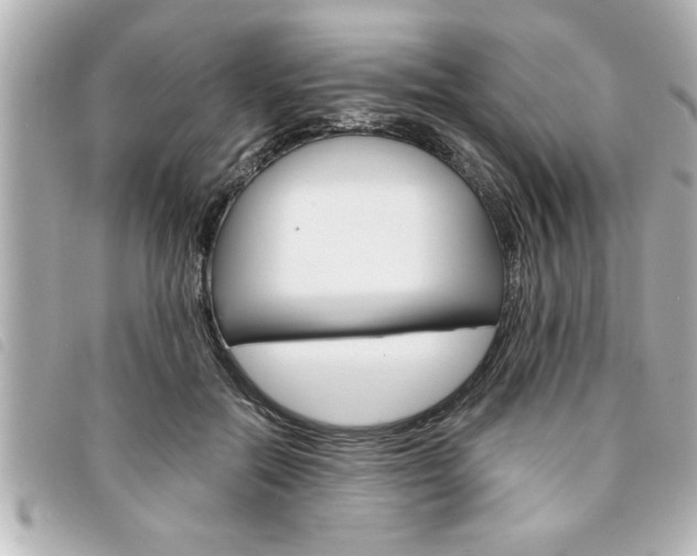 X0000094200554200710260914