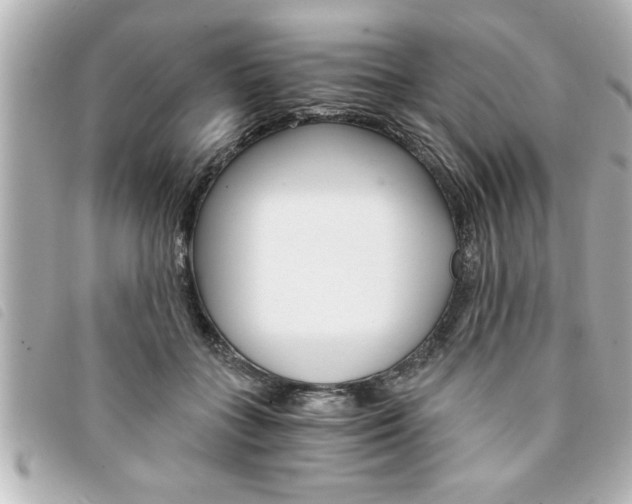 X0000094200555200710260914