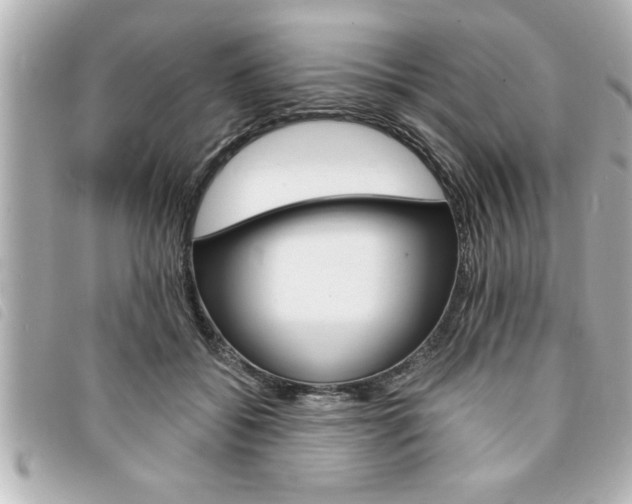 X0000094200556200710260914