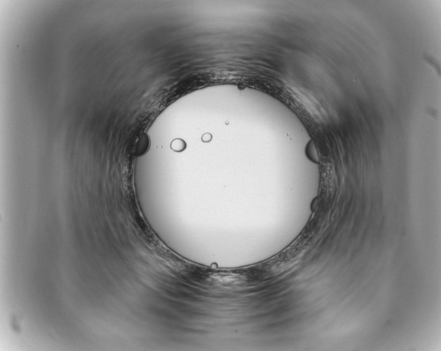 X0000094200557200710260914