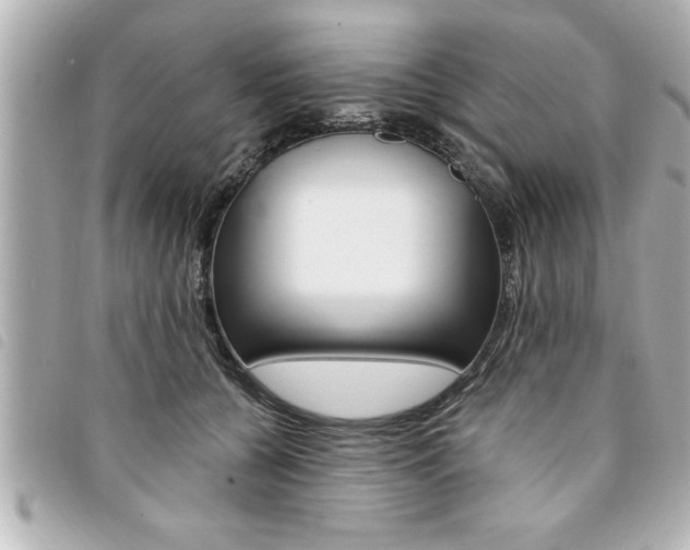 X0000094200560200710260914