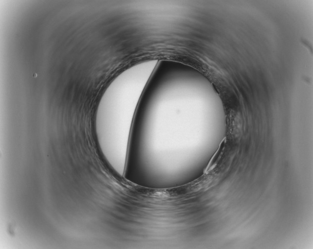X0000094200562200710260914