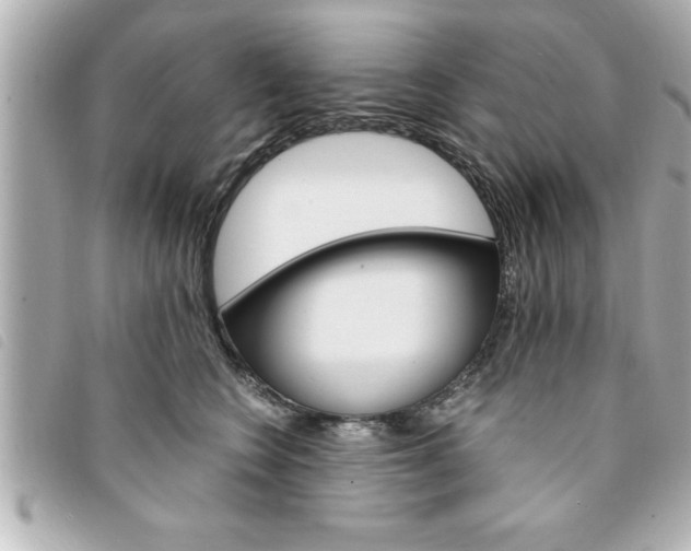 X0000094200566200710260914