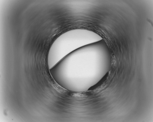 X0000094200568200710260914