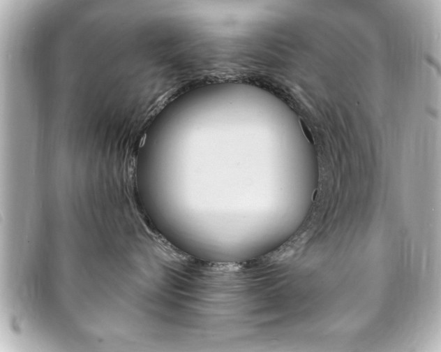 X0000094200576200710260915