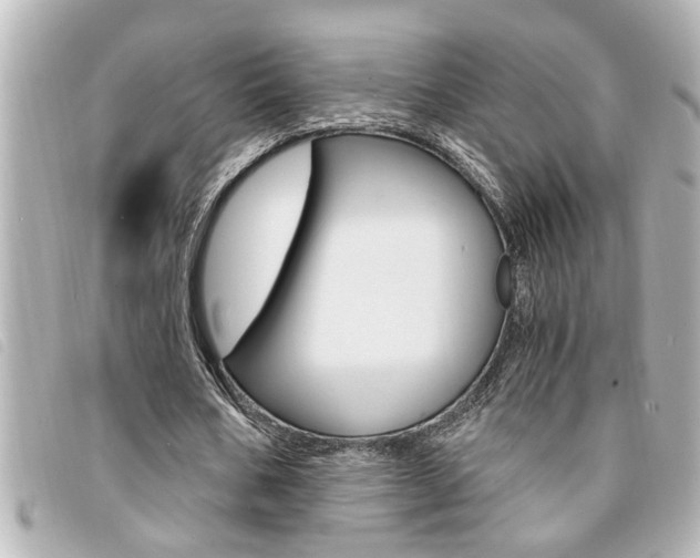 X0000094200578200710260914
