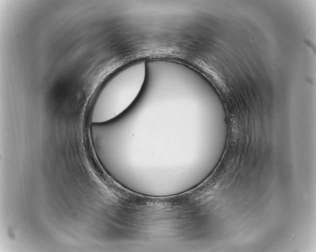X0000094200582200710260914