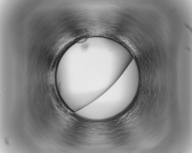 X0000094200583200710260914