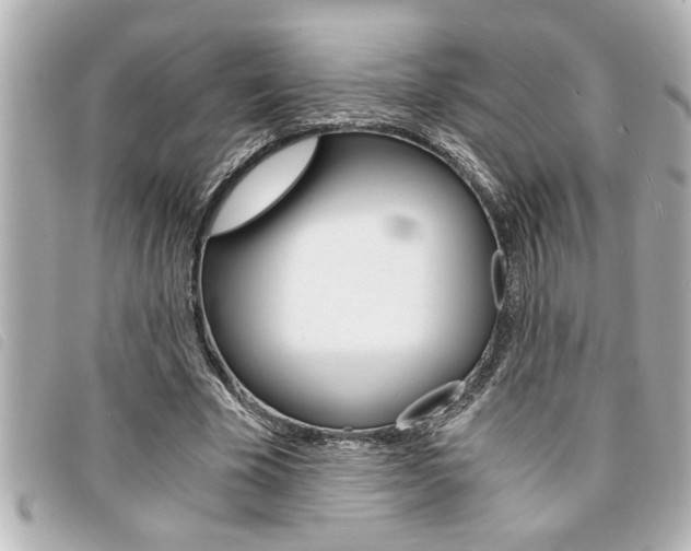 X0000094200585200710260914