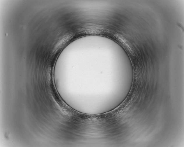 X0000094200586200710260914