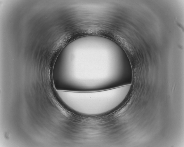 X0000094200589200710260914
