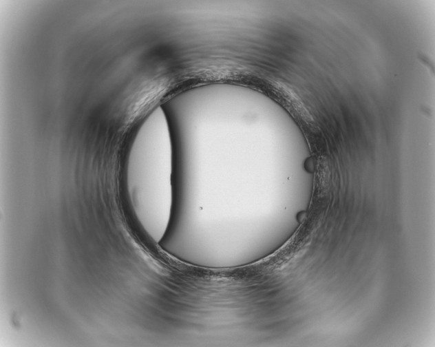 X0000094200590200710260914
