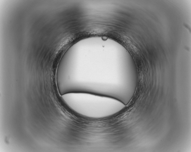 X0000094200591200710260914
