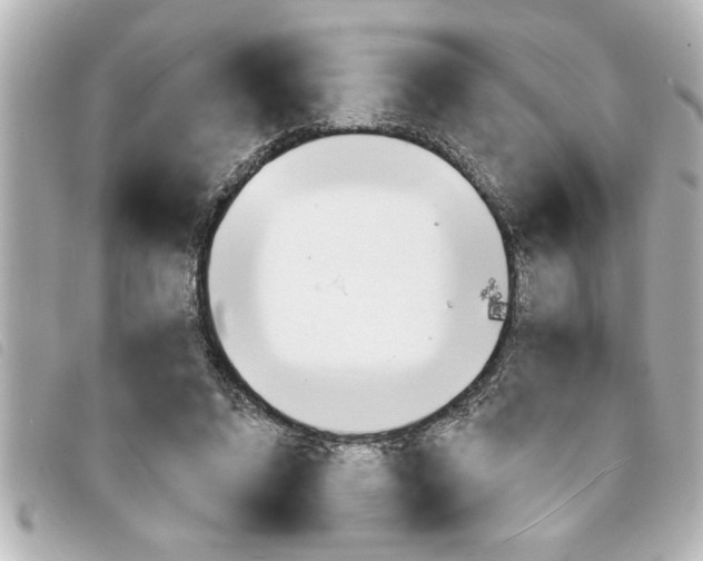 X0000094200592200710260914