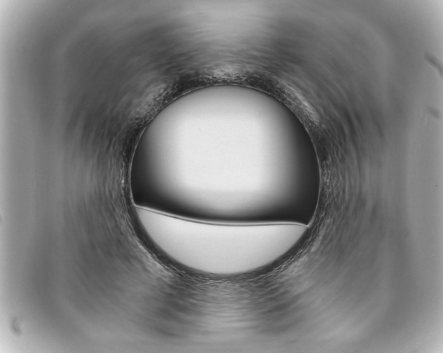 X0000094200593200710260914