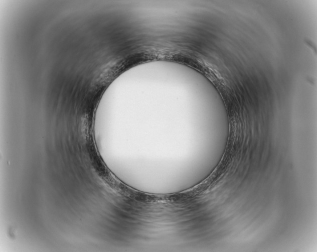 X0000094200594200710260914