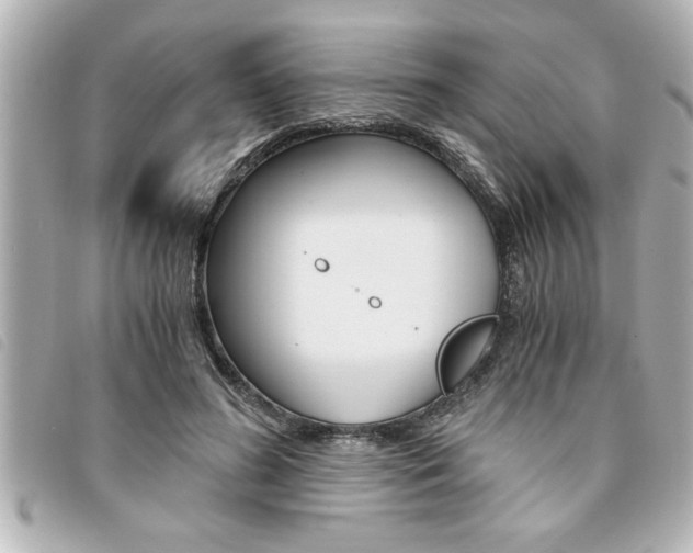 X0000094200596200710260914