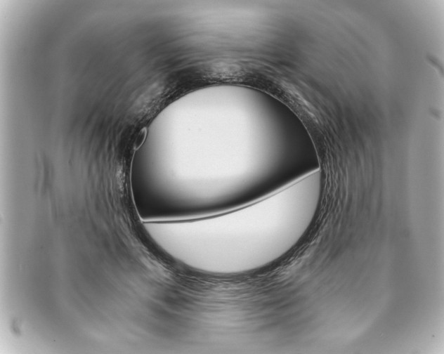 X0000094200597200710260914