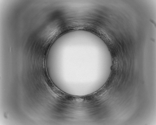 X0000094200598200710260914