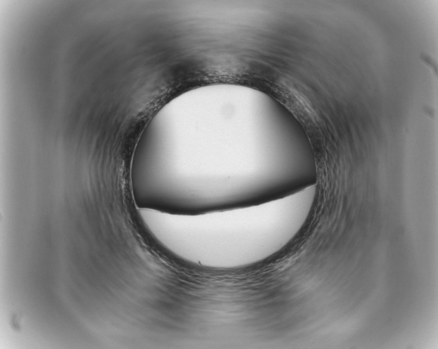 X0000094200599200710260914