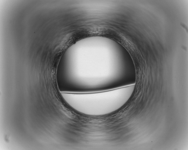 X0000094200601200710260914