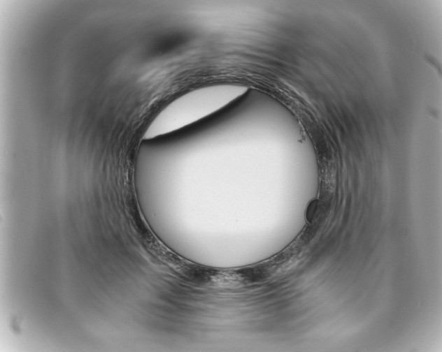 X0000094200603200710260914