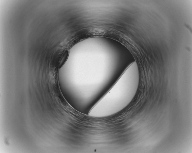 X0000094200604200710260914