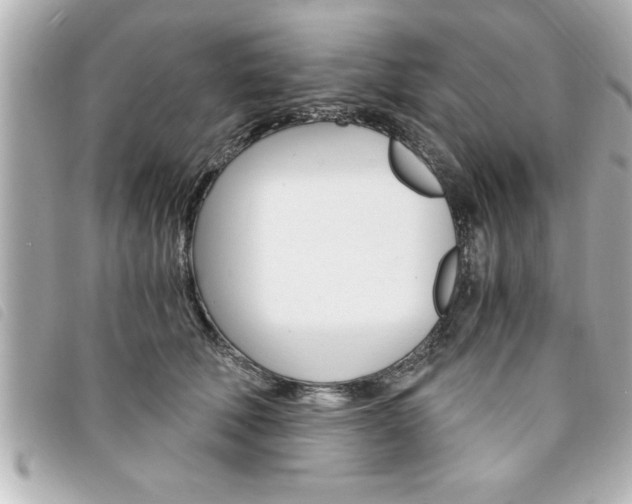 X0000094200610200710260914