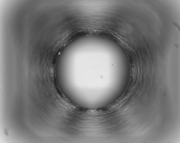 X0000094200613200710260914
