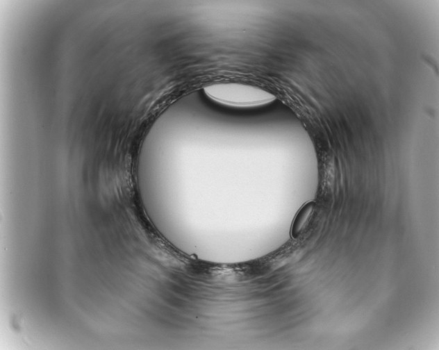 X0000094200616200710260913
