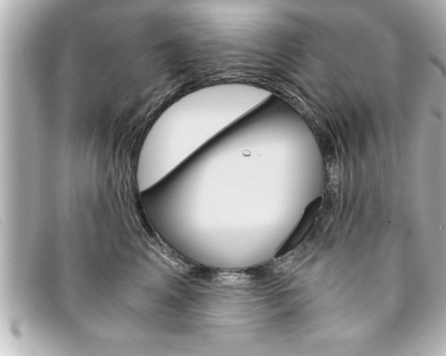 X0000094200617200710260913