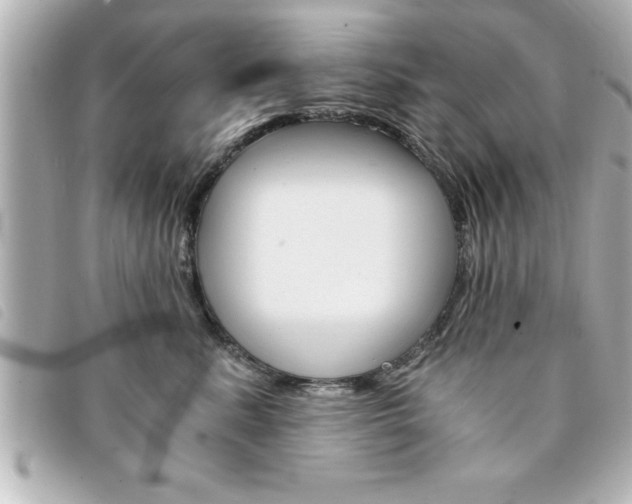 X0000094200619200710260913